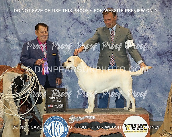 Yellowstone Valley Kennel Club 4 Sunday June 25, 2023
