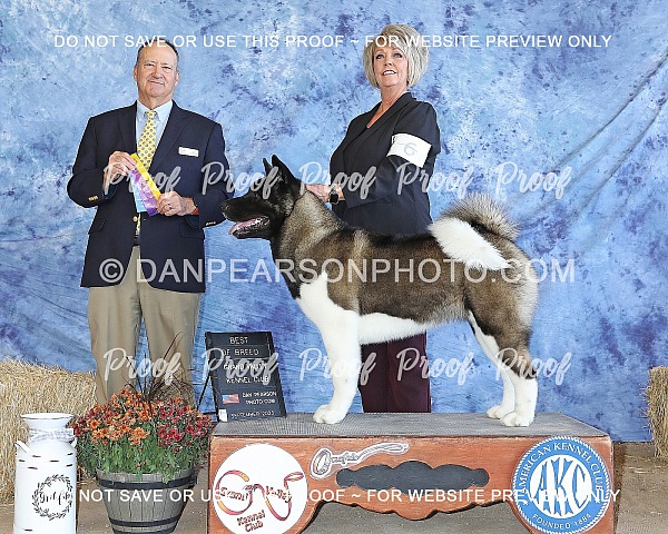 Grand Valley Kennel Club 3 Saturday September 30, 2023 ( 1st Show)