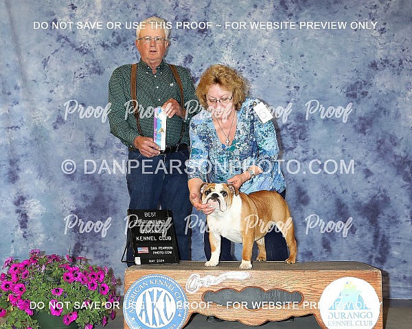 Durango Kennel Club 3 Saturday May 18, 2024