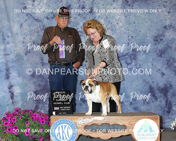 Durango Kennel Club 4 Sunday  May 19, 2024