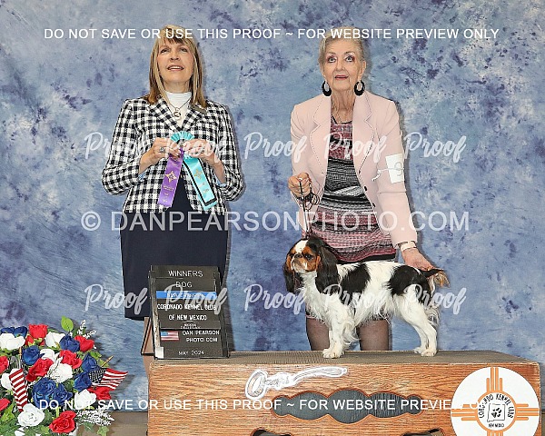 Coronado Kennel Club 2 Monday May 27, 2024