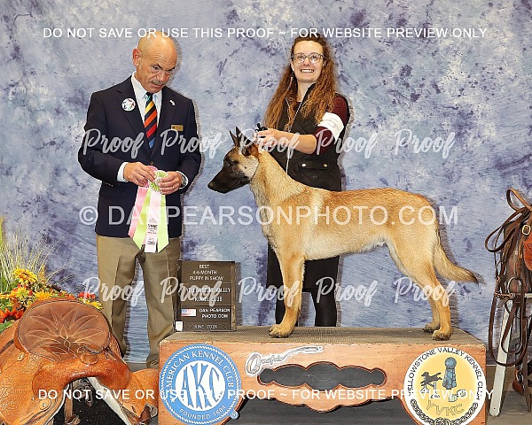 Yellowstone Valley Kennel Club 2 Friday June 21, 2024