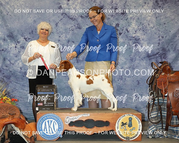 Yellowstone Valley Kennel Club 4 Sunday June 23, 2024