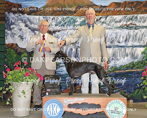 Electric City Kennel Club 1 Friday July 5, 2024