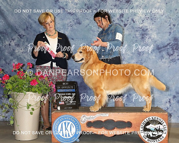 Flathead Kennel Club 1 Sunday July 7, 2024