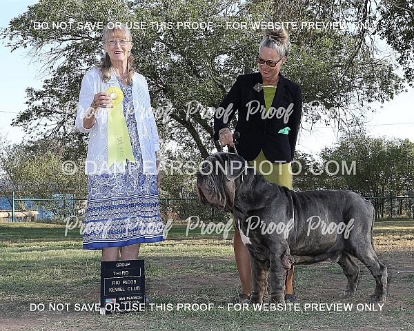Rio Pecos Kennel Club 3 Sunday October 6, 2024