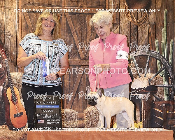 Tucson Kennel Club 1 Friday November 15, 2024