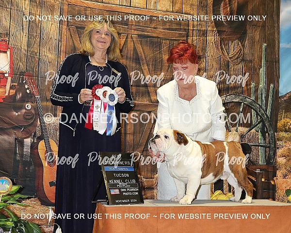 Tucson Kennel Club 2 Saturday November 16, 2024