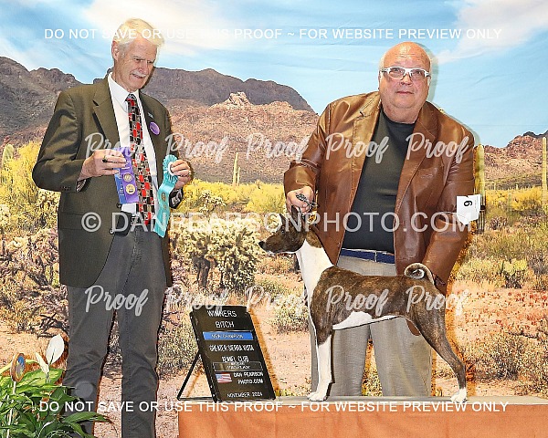 Greater Sierra Vista Kennel Club 2 Monday November 18, 2024