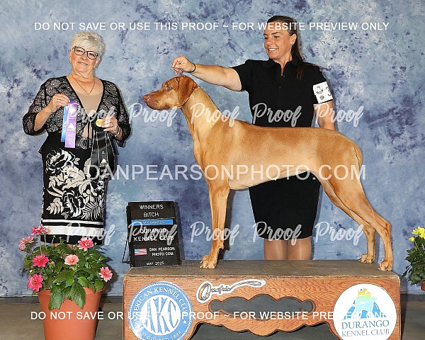 Durango Kennel Club 3 Saturday May 17, 2025