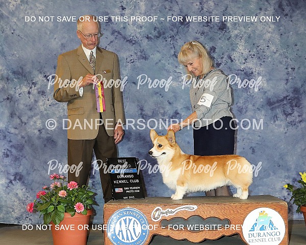 Durango Kennel Club 4 Sunday May 18, 2025