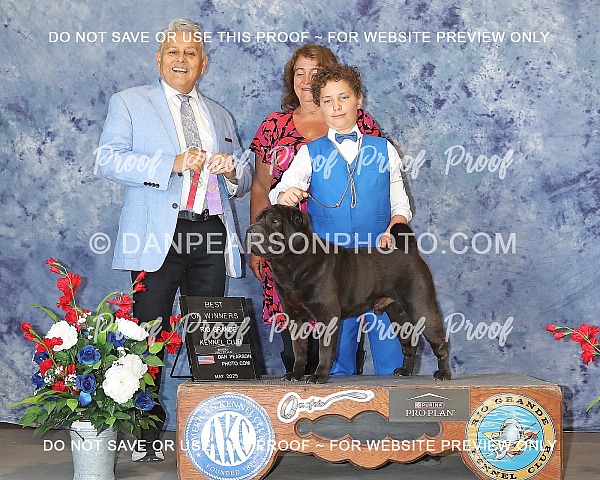 Rio Grande Kennel Club 2 Saturday May 24, 2025