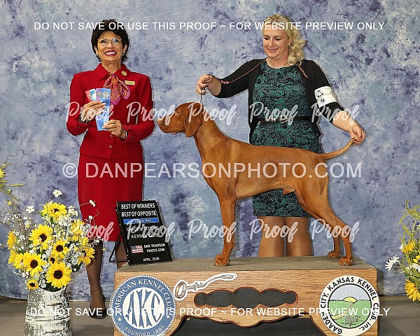 Garden City Kennel Club 2 Saturday April 18, 2026