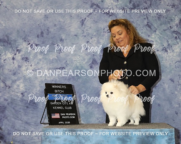 Garden City Kennel Club 3 Sunday April 19, 2026