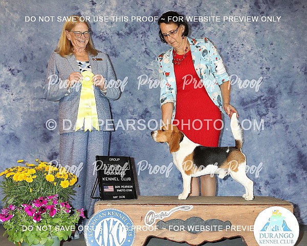 Durango Kennel Club 2 Friday  May 15, 2026 ( 2nd Show)