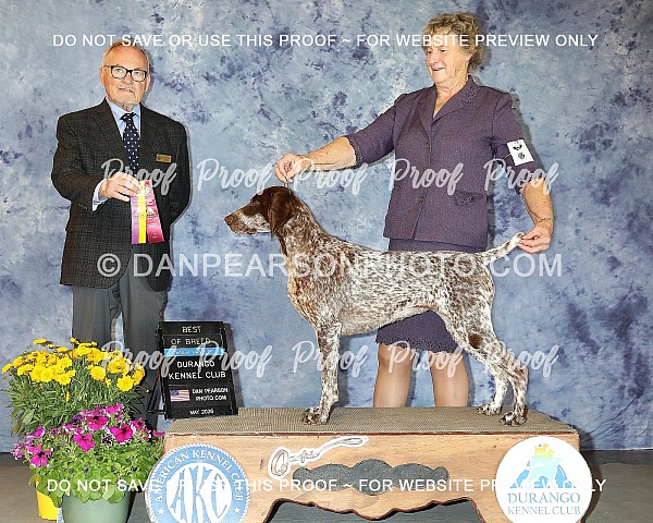 Durango Kennel Club 3 Saturday May 16, 2026